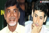 AP news, Mahesh Babu, now mahesh babu will be forced to support tdp, Relatives