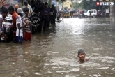 Chennai rains news, Tamilnadu news, chennai rains rains continue no transport contributions, Tamilnadu news