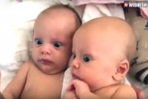 funny baby videos, viral videos, back to back funny babies, Funny videos