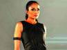 Fashion Design Council of India, Mombai, models suffer in delhi mumbai clash, Passion