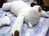 snoring robotic bear, snoring robotic bear, robotic bear that stops you from snoring, Pillow