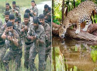 Cheetah strays away from Babu! :Morning Wishesh 