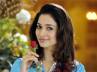tamanna in bollywood, tamanna in bollywood, tamanna accepts the failures, 100 percent love