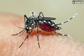 side effects of dengue, Dengue can result in blindness, dengue can cause blindness finds study, Dengue