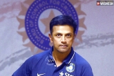 sports news, sports news, dravid to mentor the daredevils, Dravid