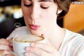 Coffee is not linked with lifestyle diseases, diabetes and obesity are linked to coffee consumption, coffee doesn t trigger diabetes and obesity says study, Coffee