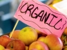 Powerful nutrients, Perfect health, organic apples make the perfect health food, Organic