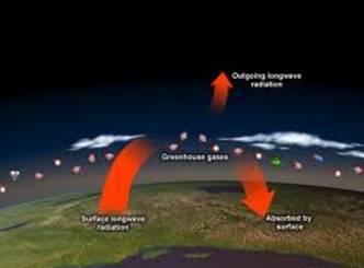 Material that absorbs Green House gases discovered