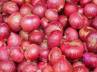 onions growing region in india., minimum export price, rise in price of onions, Onions