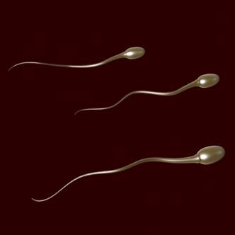 Sperm face hurdles to succeed