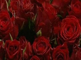kazakhstan: Man gives his wife one million roses on Women&#039;s Day