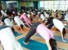 Medical Council of India, yoga, yoga sports for mbbs students, Mbbs