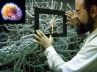 Human brain system, neuroscientists, scientists image working brain cell in real time, Sci tech