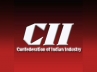 Confederation of Indian Industry, global economy, business confidence declined cii survey, Pm cii