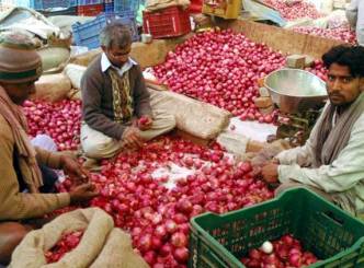 Onion prices fall steeply, supply excess