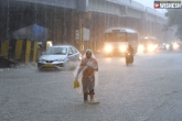 Telangana Rains losses, Rains news, imd issues flash flood alert for telangana, Telangana rains