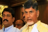 AP political news, Chandrababu Naidu, ghmc elections naidu gets active trs in danger zone, Vr zone