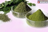 herbs to counter cancer pain, herbs to counter cancer pain, useful herbs to counter cancer pain, Ayurveda
