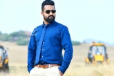 NTR new movie, Tollywood news, pawan s lover mahesh s mother is ntr s aunt, Devayani