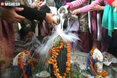 Hindu festivals, Shivaratri, 3 reasons to celebrate maha shivaratri, Festivals