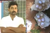 Nellore man 19 bombs wife, man 19 bombs wife, man plants 19 bombs to kill wife, Plants