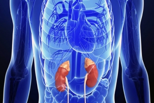 New method to detect kidney disease