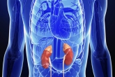 Less invasive technique to spot kidney disease, new technique to diagnose kidney disease, new method to detect kidney disease, Kidney disease