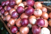 Onions Rs.1 per kg, Onions Rs.1 per kg, onions rs 1 per kg, Onions