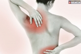 shoulder and back pain news, shoulder and back pain reduction, tips to deal with your pain in shoulders and back, Pain