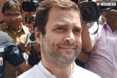 Jai Ram Rahul Gandhi, Rahul Gandhi Congress Chief, rahul gandhi to be congress chief this year, Rahul gandhi congress