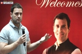 Steve Jobs of Microsoft, Rahul comments on Steve Jobs, rahul gandhi did not say steve jobs of microsoft, Microsoft s os