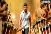 Sarrainodu movie updates, Sarrainodu movie updates, sarrainodu trailer talk no bunny only boyapati, Sarrainodu movie