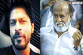 Datuk title to Rajinikanth, Kabali movie updates, rajinikanth is next to shah rukh khan, Kabali movie