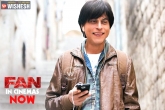 SRK Fan, SRK Fan, fan a complete shah rukh khan s show, Bollywood gossips