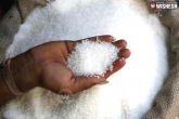 Sugar, sugar season, india s sugar surplus may trigger export, Trigger