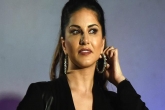 Sunny Leone updates, Sunny Leone updates, sunny leone unwilling to do adult comedies, Bollywood gossips