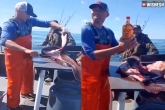Fish with whiskey bottle video, Fish with whiskey bottle viral news, fisherman traces an unopened whiskey bottle in the stomach of a fish, Fisherman