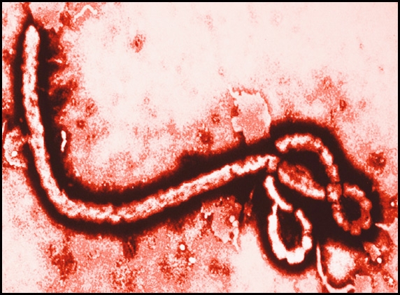 India announces aide to fight Ebola