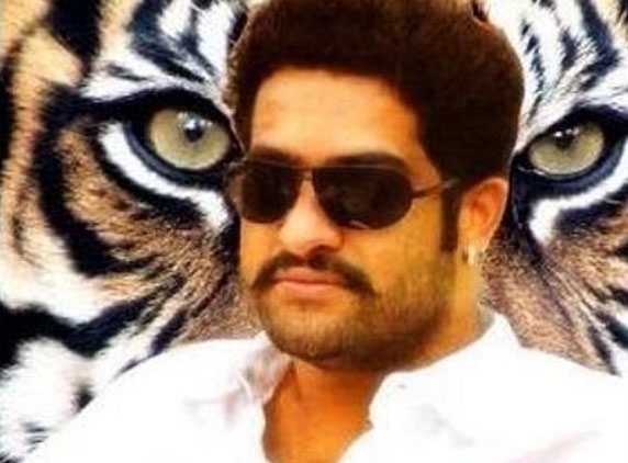 Jr.NTR’s Dammu shoot at Pollachi