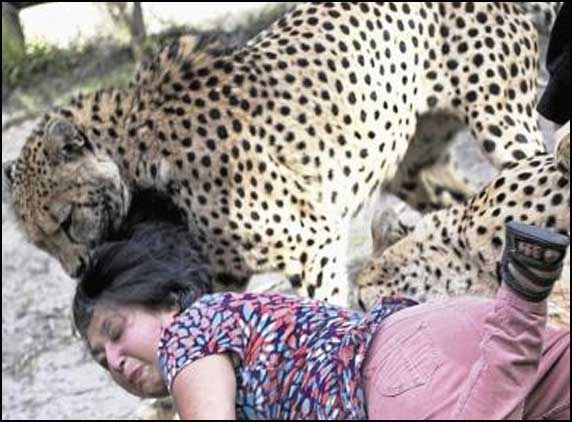 British woman survives Cheetah attack by acting dead 