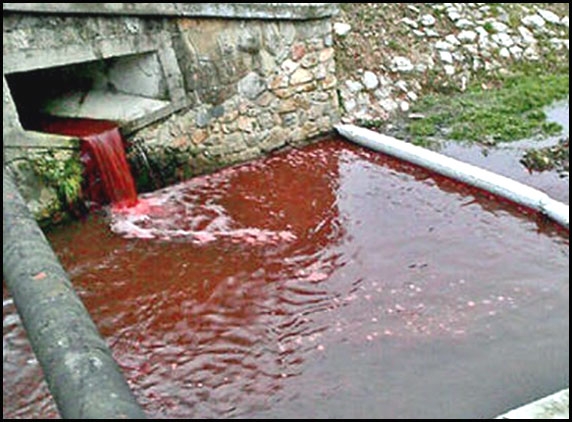 Creepy Blood stream in River Myjava