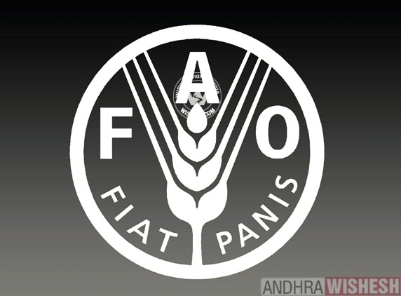 FAO ensures fall in global food prices!