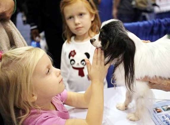 Babies in dog-owning families may be healthier