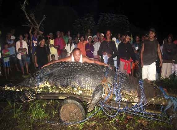 Giant Croc measuring 20.24 feet in Philippine! 