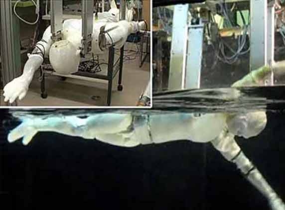 Scientists create a swimming robot