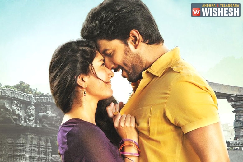 A Grand Pre-Release Event For MCA In Warangal