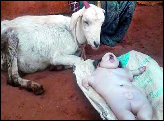 Goat gives birth to human look-a-like babies