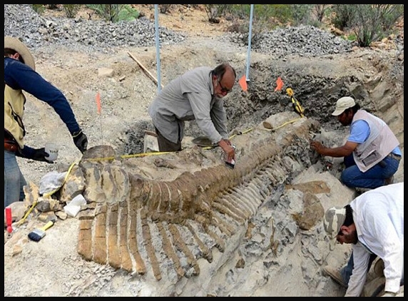 72 million-year-old dinosaur tail discovered in Mexico