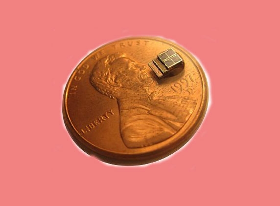 Tiny sensor to snitch on termites